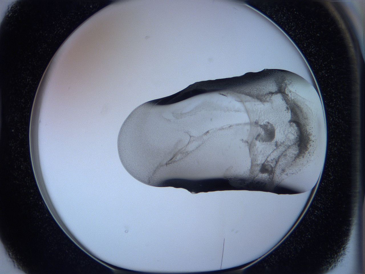 05w6_D2_ImagerDefaults_3.jpg