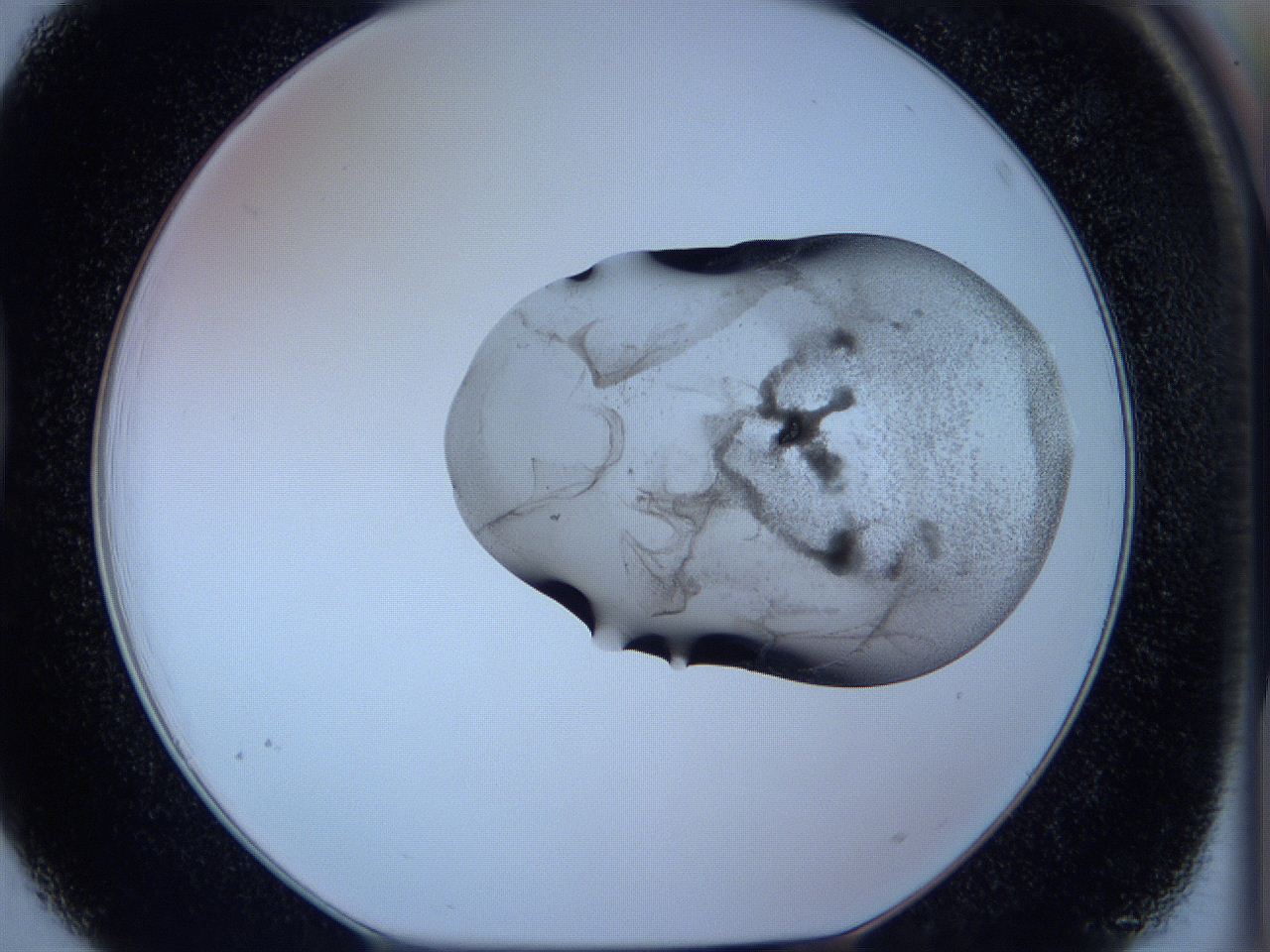 05w6_D3_ImagerDefaults_3.jpg