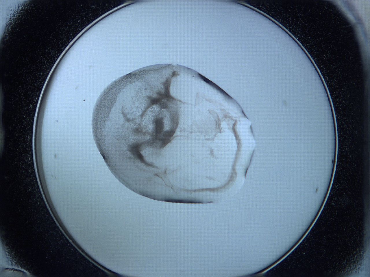05w6_B12_ImagerDefaults_3.jpg