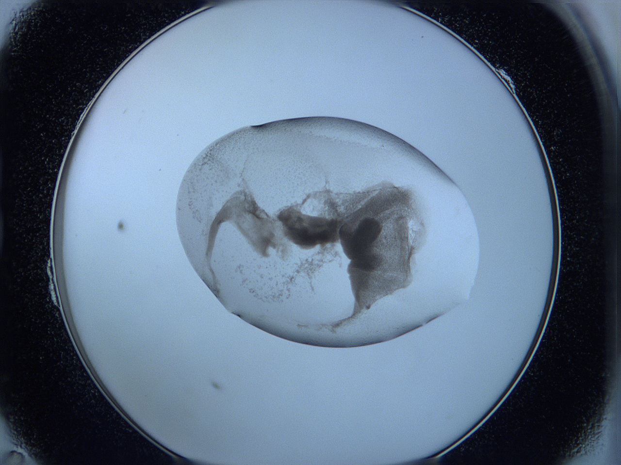 05w6_B11_ImagerDefaults_3.jpg