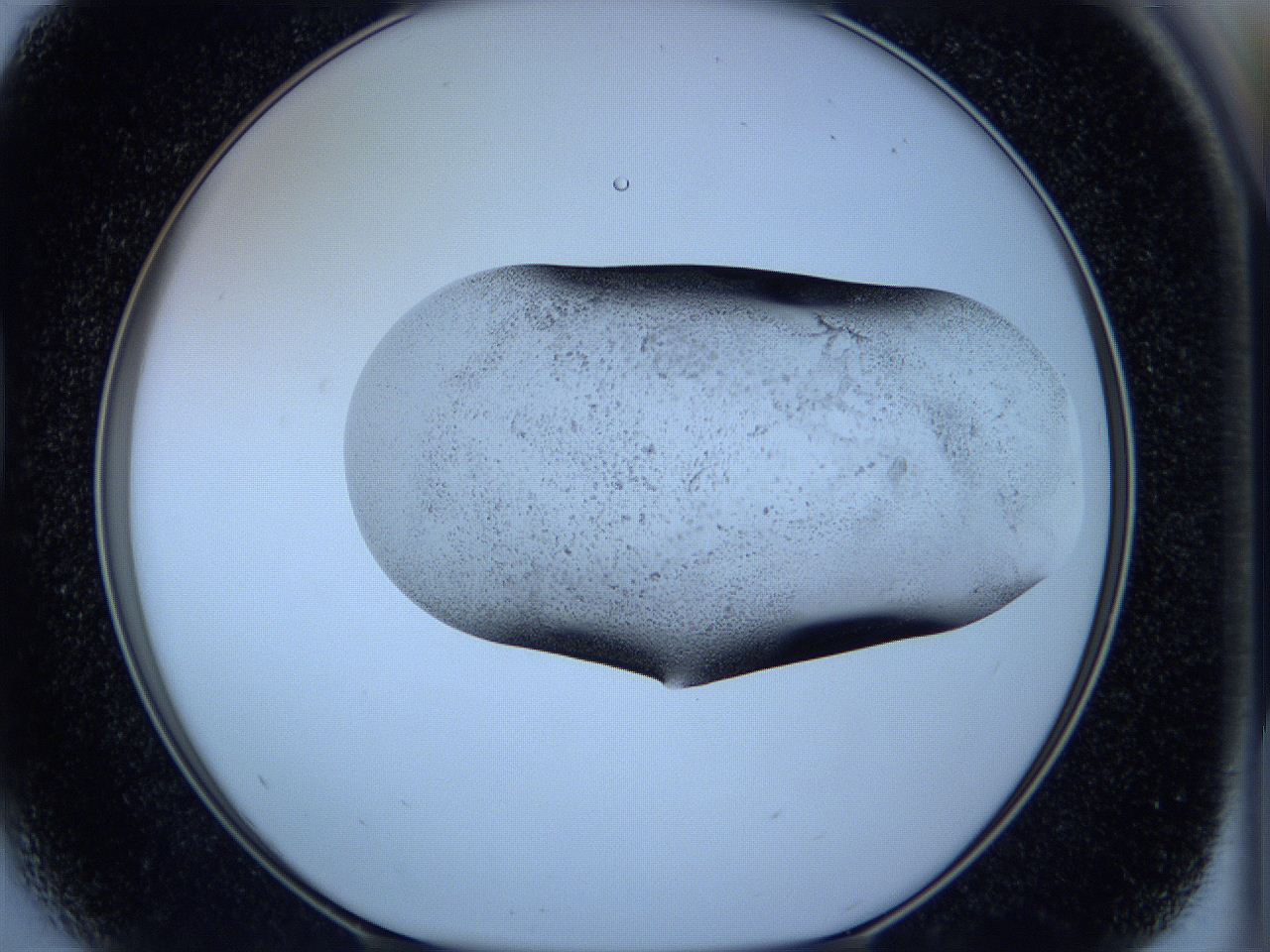 05w6_D5_ImagerDefaults_2.jpg