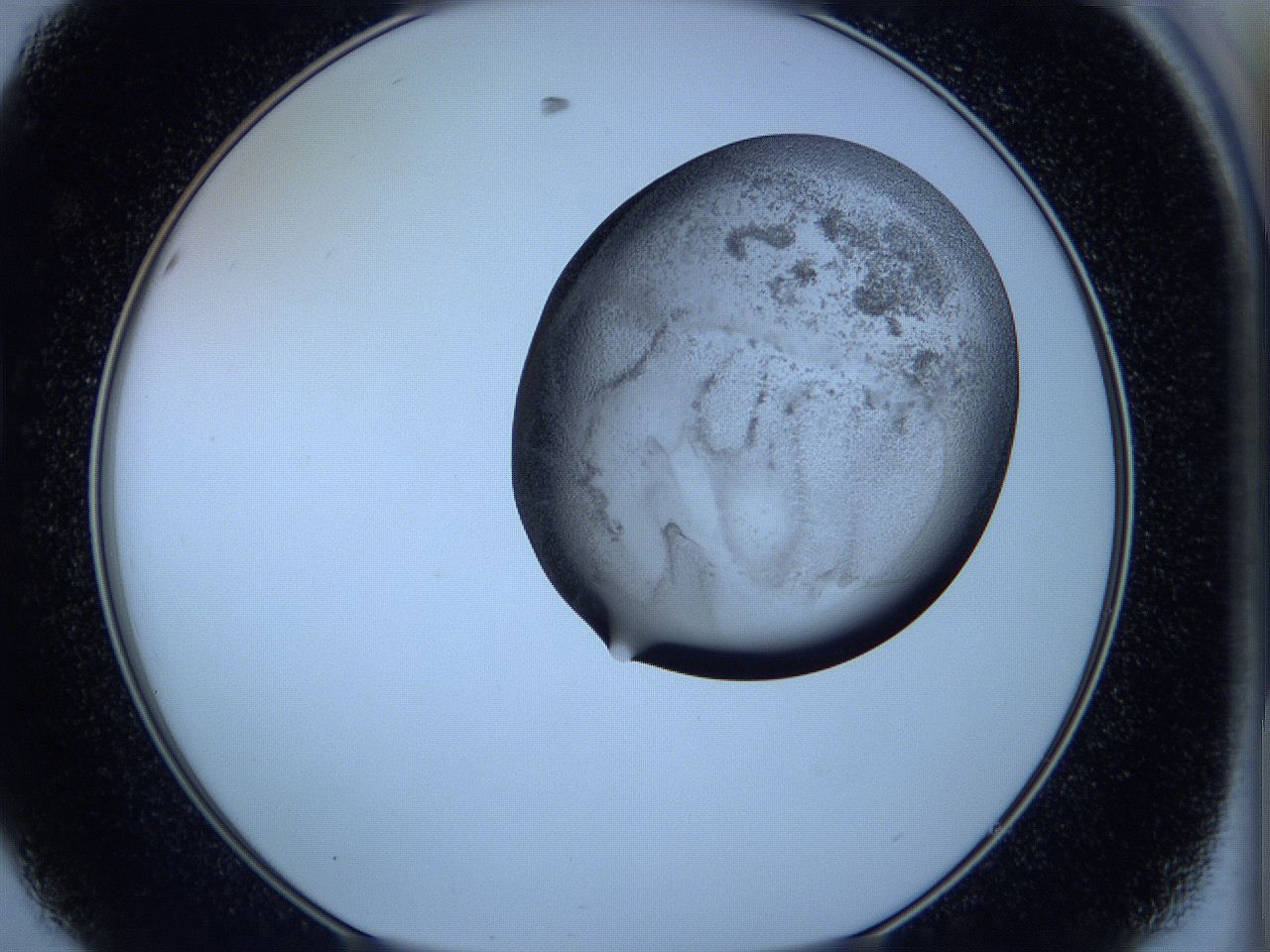 05w6_D8_ImagerDefaults_3.jpg