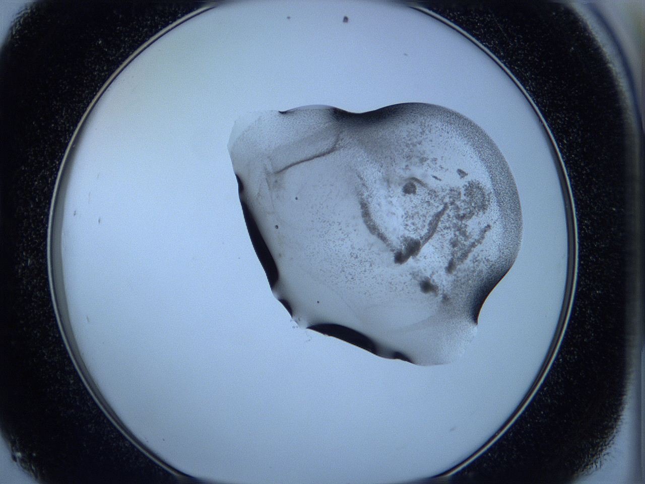 05w6_D9_ImagerDefaults_3.jpg