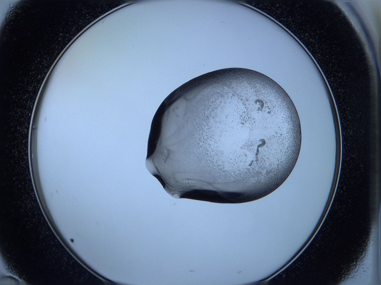 05w6_D10_ImagerDefaults_3.jpg