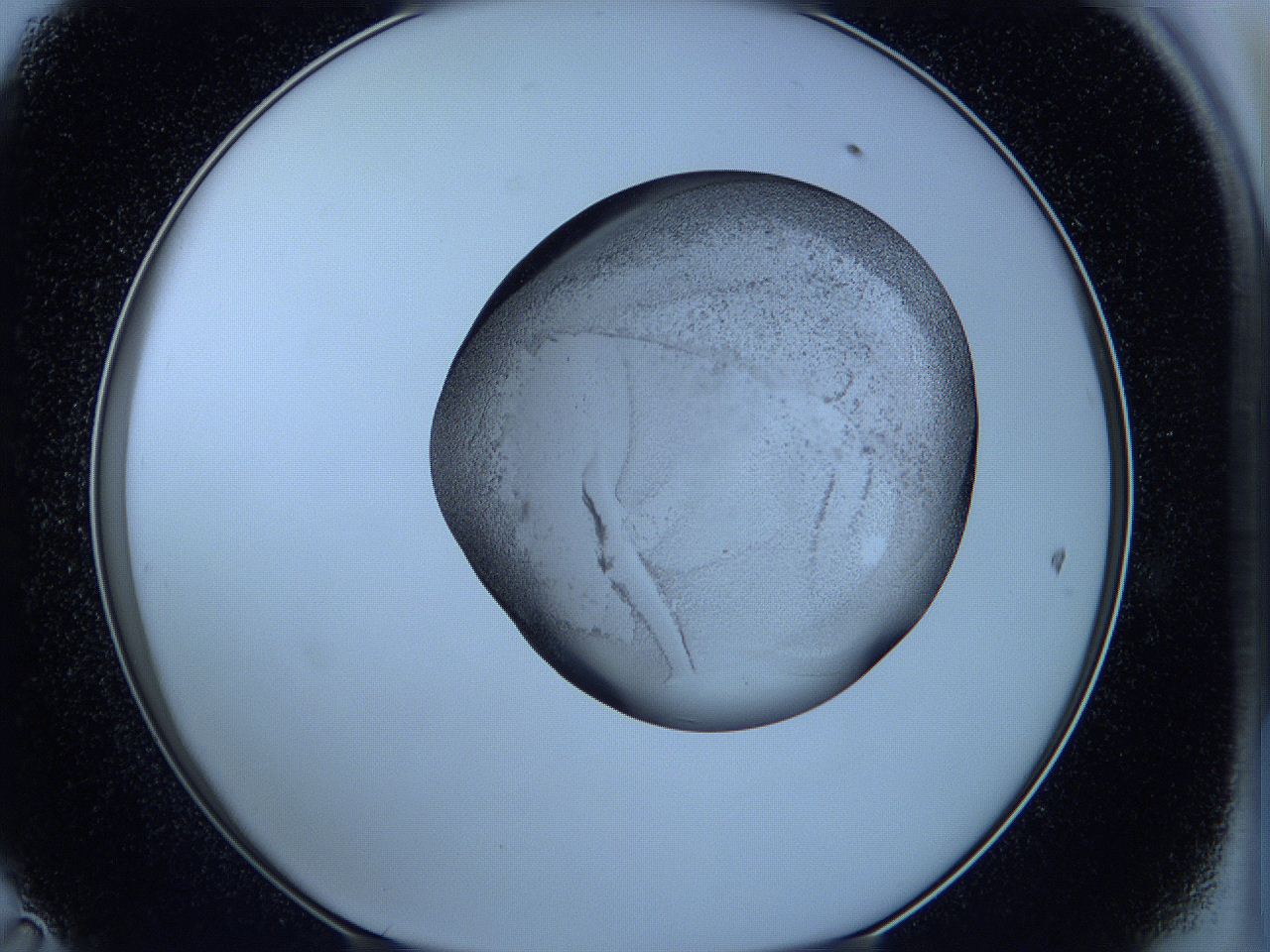 05w6_D11_ImagerDefaults_3.jpg