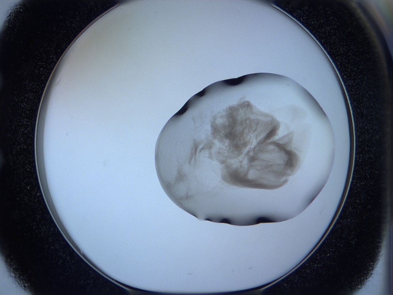05w6_E3_ImagerDefaults_3.jpg