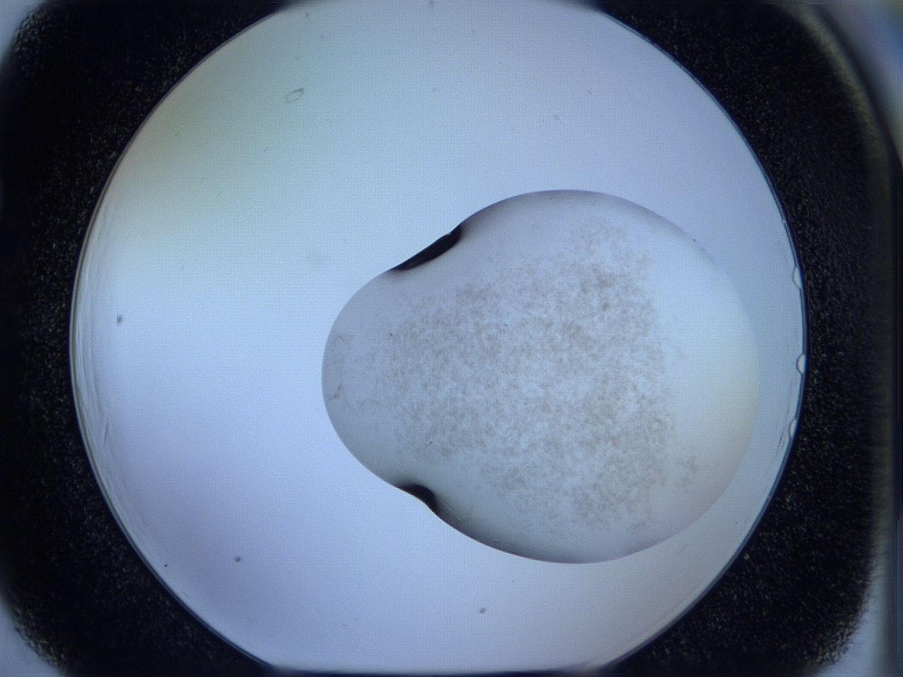 05w6_F6_ImagerDefaults_3.jpg