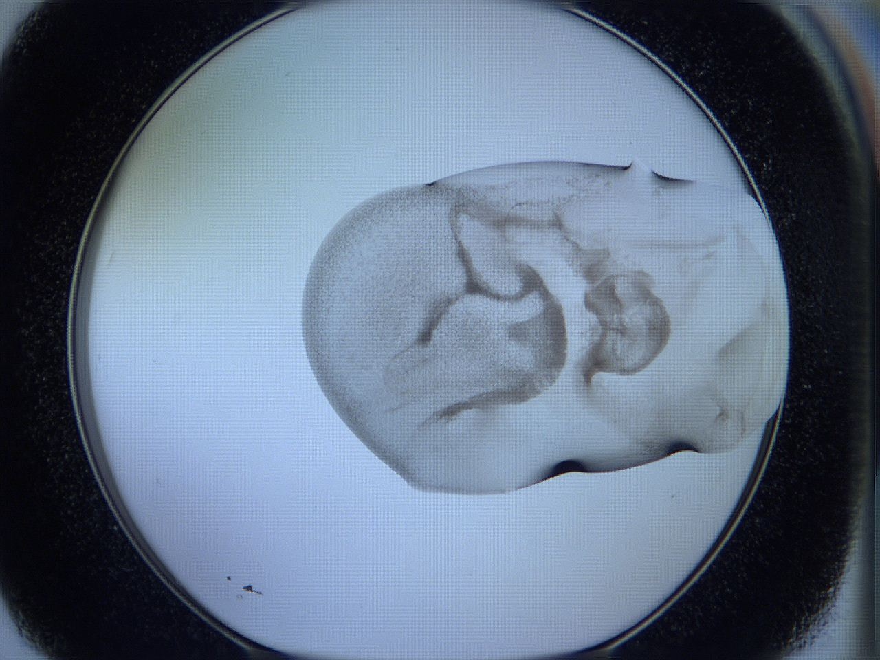 05w6_F7_ImagerDefaults_3.jpg
