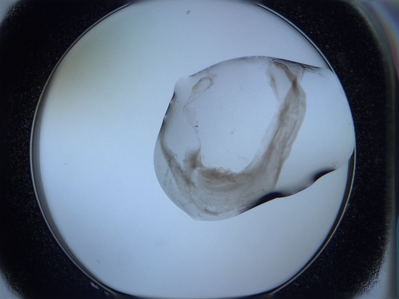 05w6_F8_ImagerDefaults_3.jpg