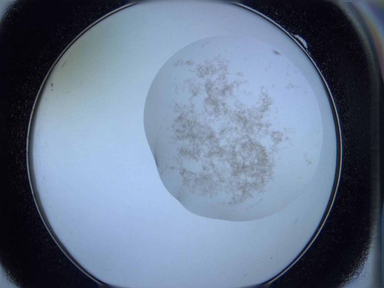 05w6_F9_ImagerDefaults_3.jpg