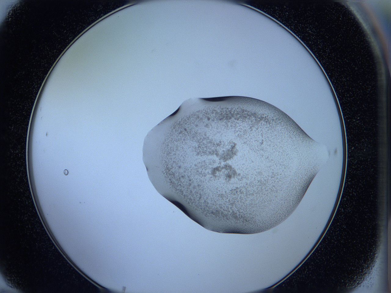 05w6_F10_ImagerDefaults_3.jpg