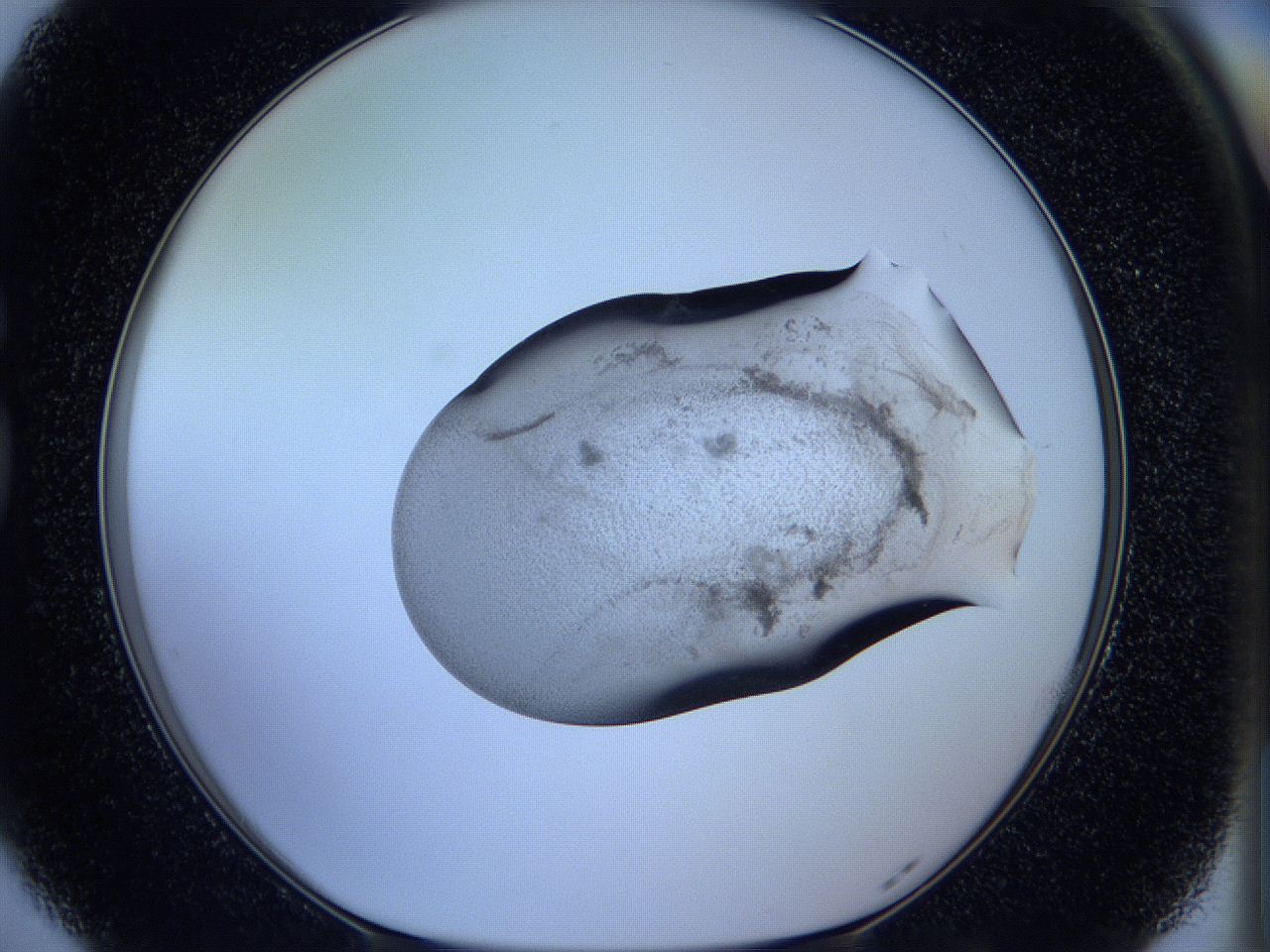 05w6_G5_ImagerDefaults_3.jpg