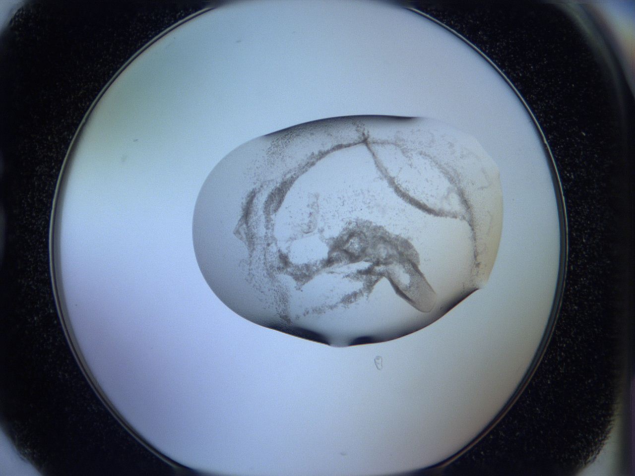 05w6_G6_ImagerDefaults_3.jpg