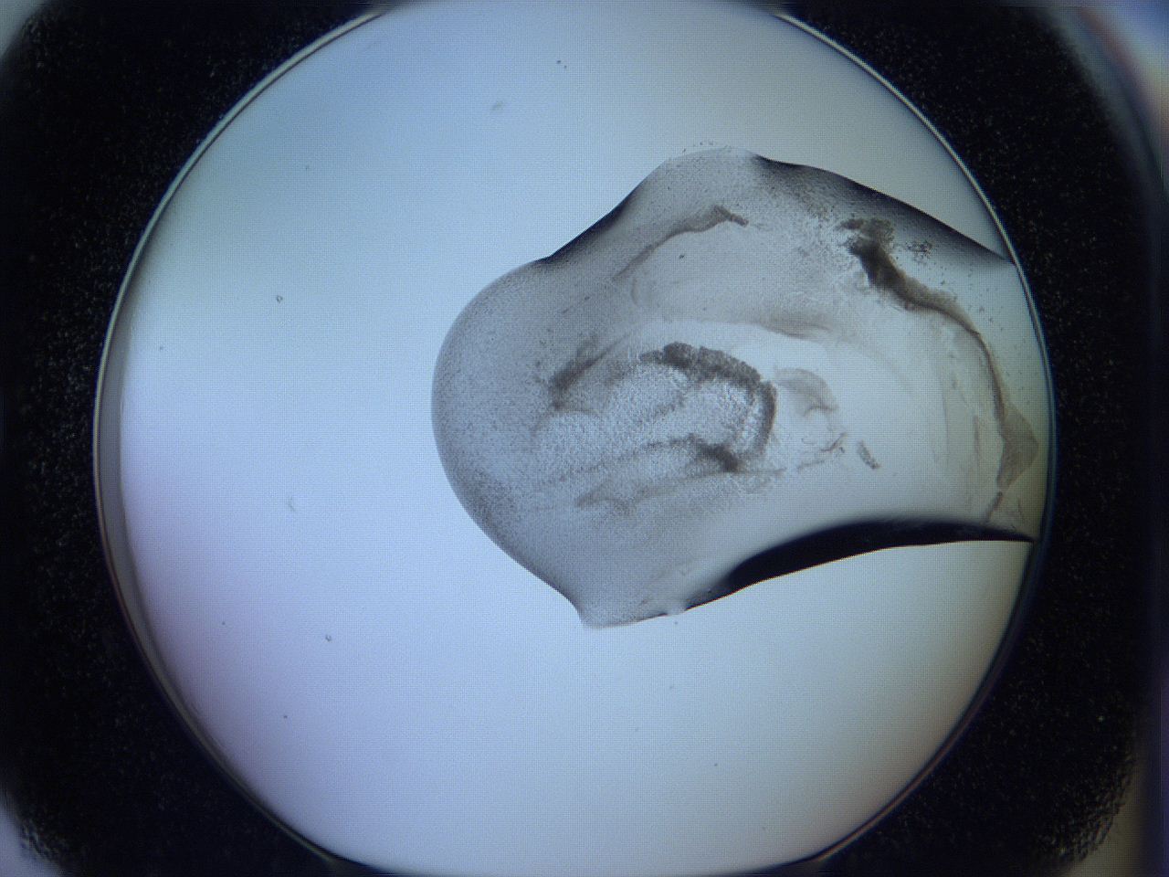 05w6_G7_ImagerDefaults_3.jpg