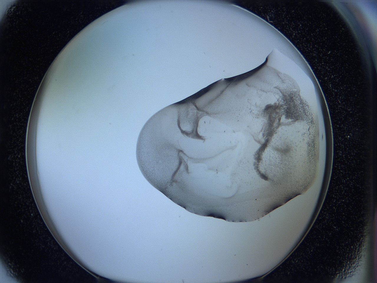 05w6_G8_ImagerDefaults_3.jpg