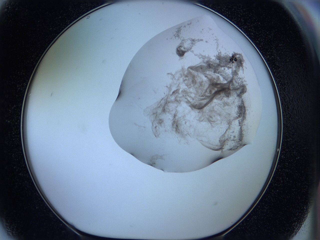 05w6_G9_ImagerDefaults_3.jpg