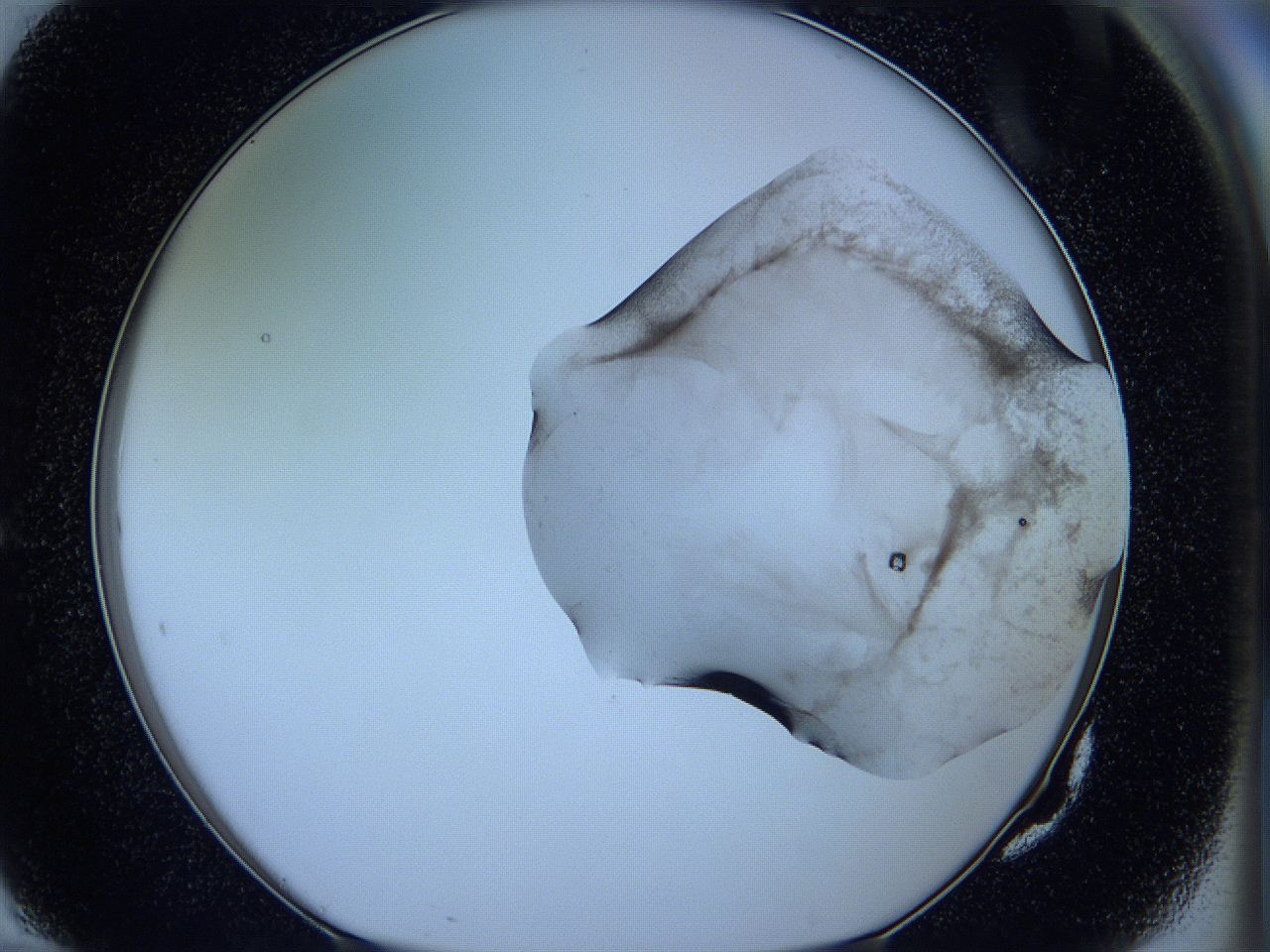 05w6_G10_ImagerDefaults_3.jpg