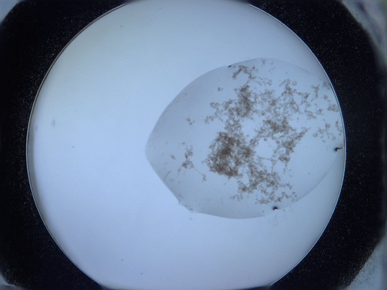05w6_G12_ImagerDefaults_3.jpg