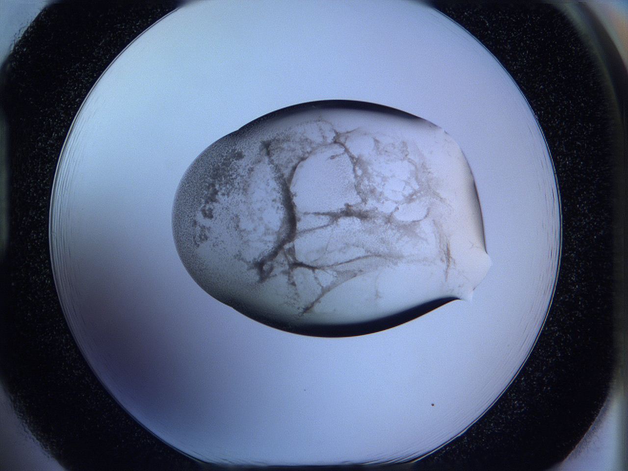 05w6_H1_ImagerDefaults_3.jpg