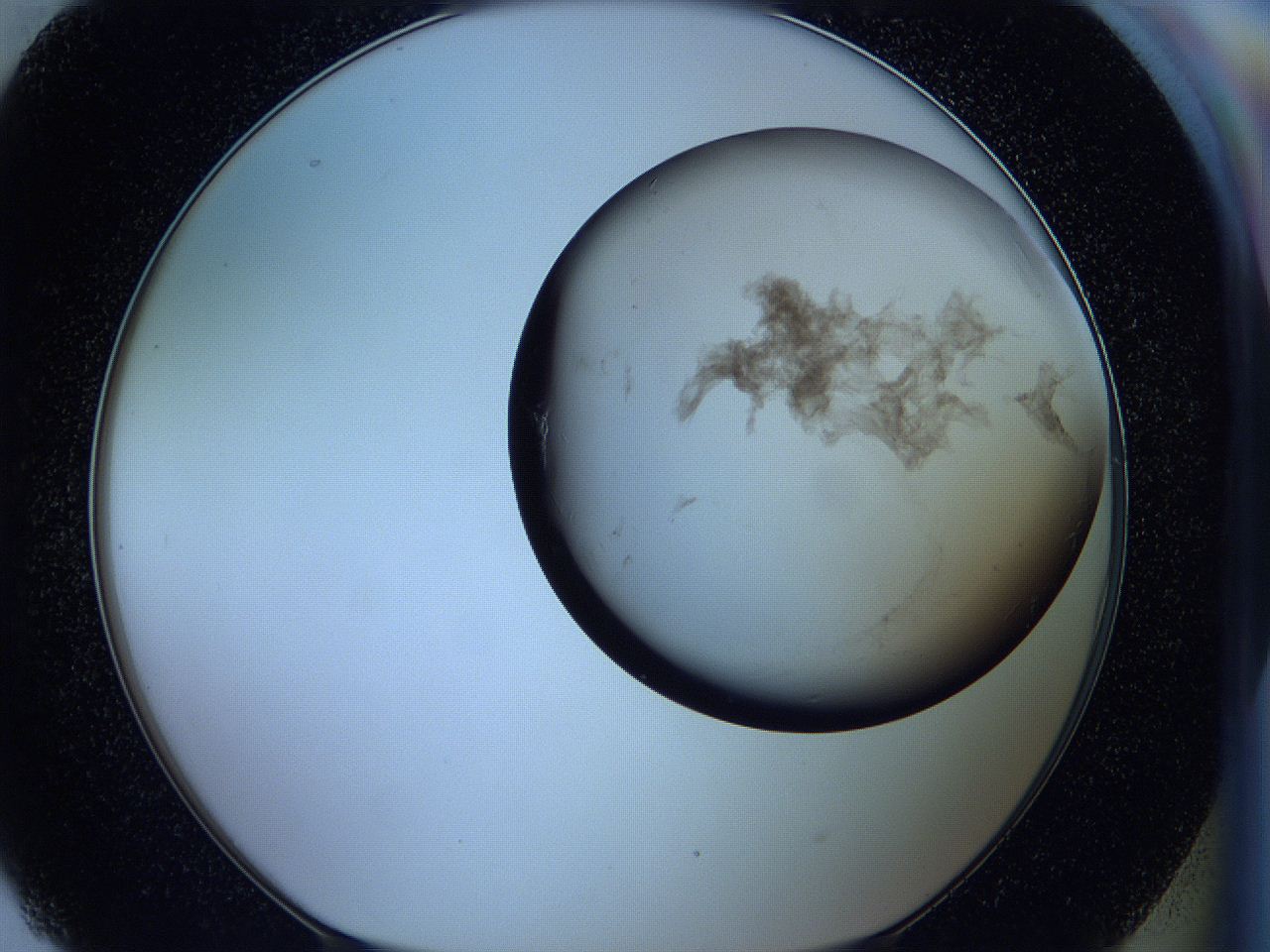 05w6_H9_ImagerDefaults_3.jpg