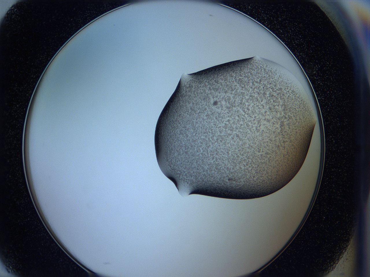 05w6_H10_ImagerDefaults_3.jpg