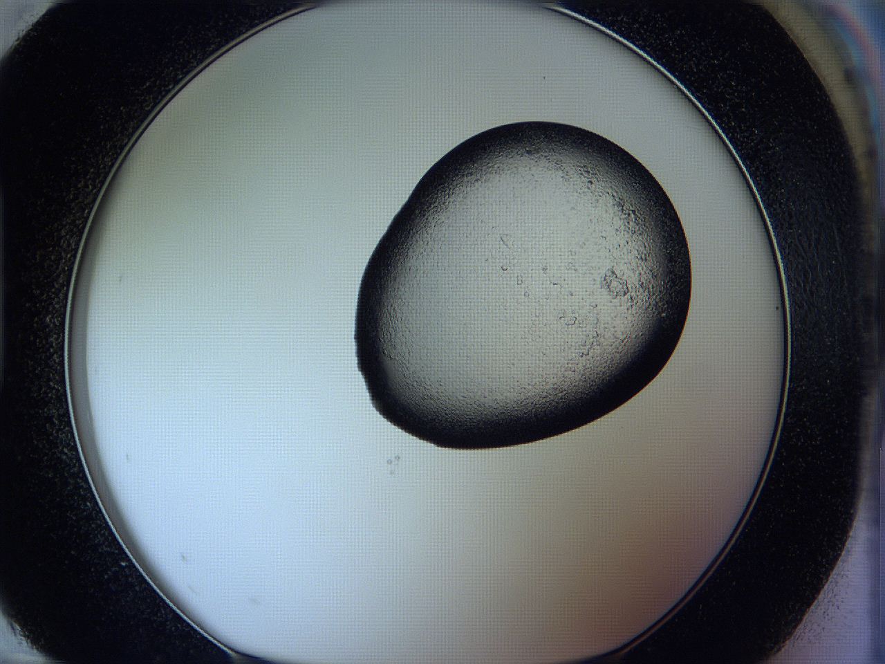 05w6_H12_ImagerDefaults_2.jpg