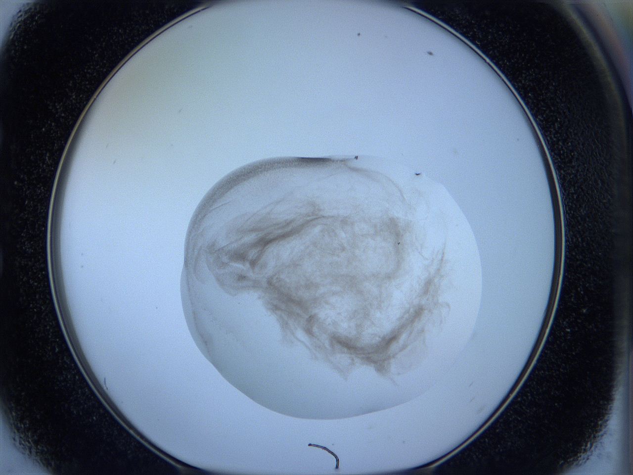 05w6_E6_ImagerDefaults_3.jpg