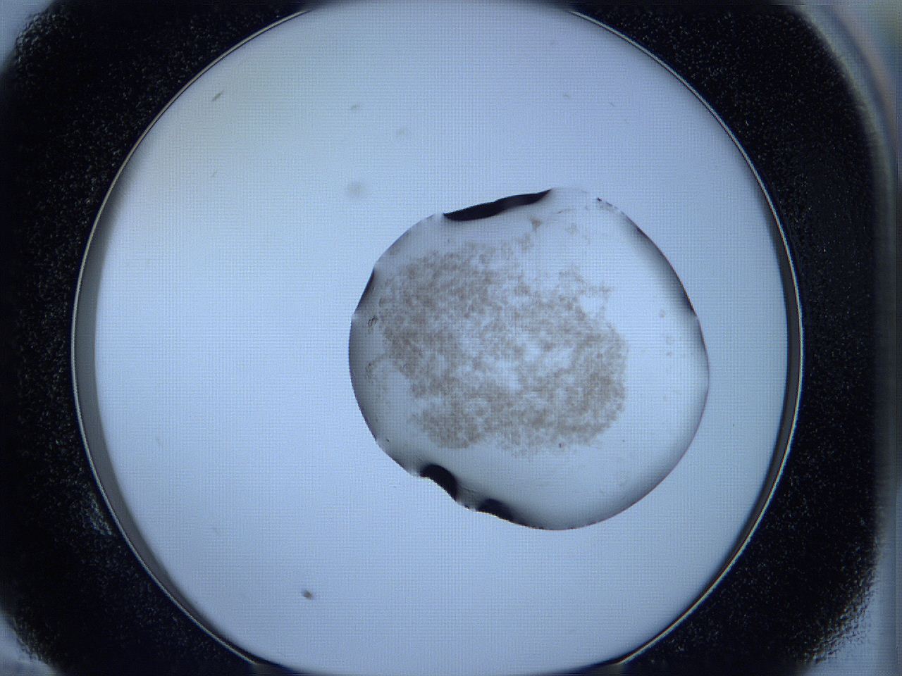 05w6_E10_ImagerDefaults_3.jpg