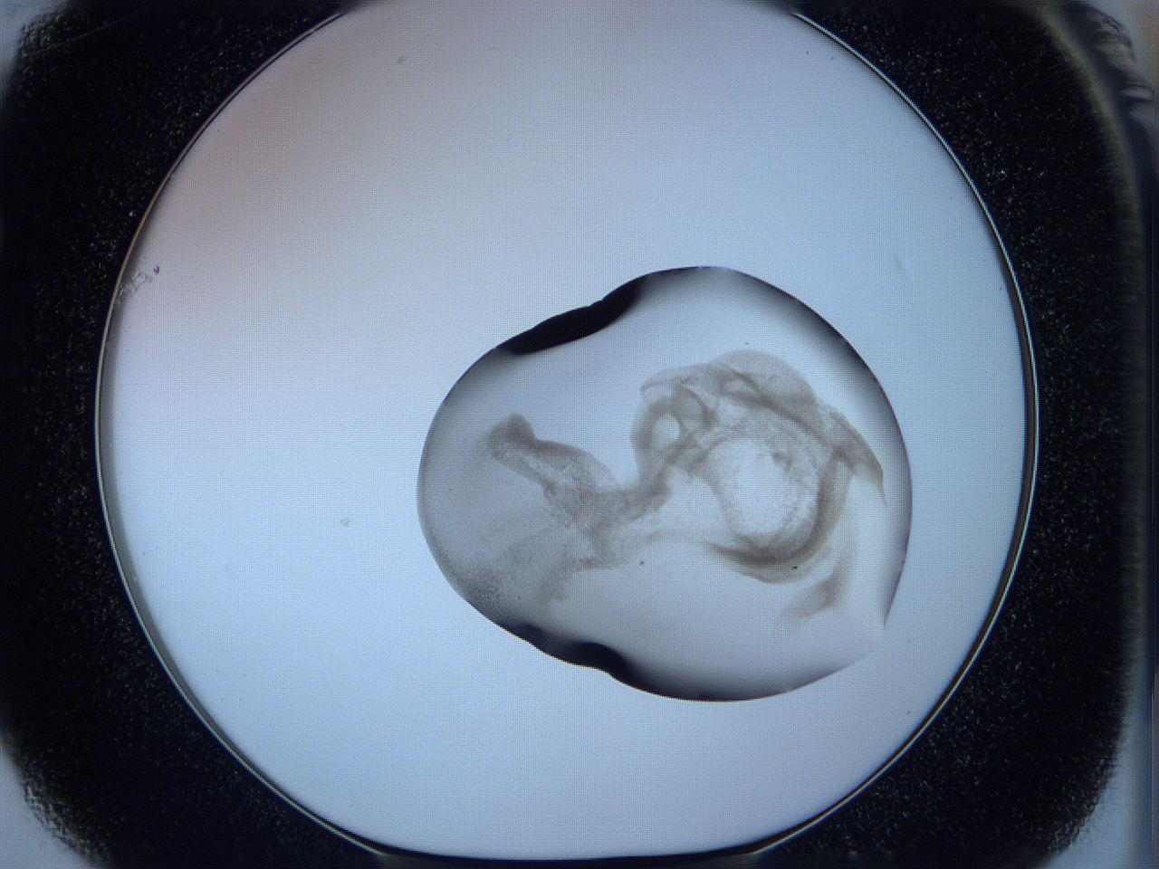 05w6_F1_ImagerDefaults_3.jpg