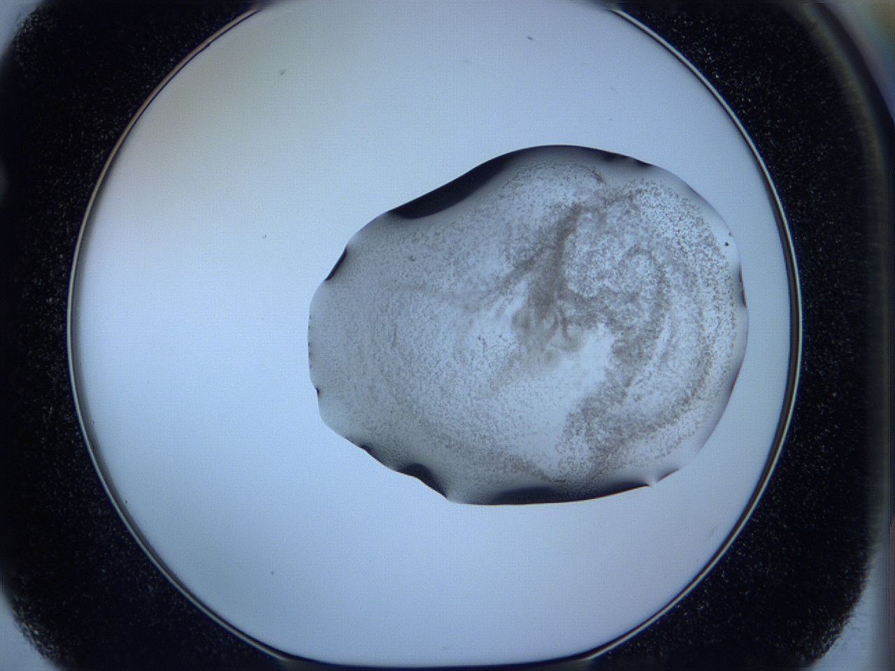 05w6_F2_ImagerDefaults_3.jpg