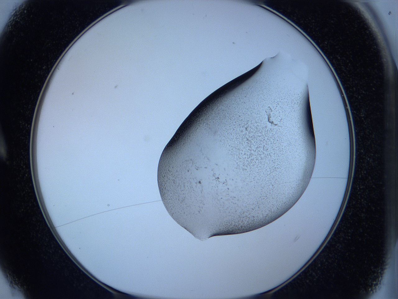 05w7_A4_ImagerDefaults_3.jpg