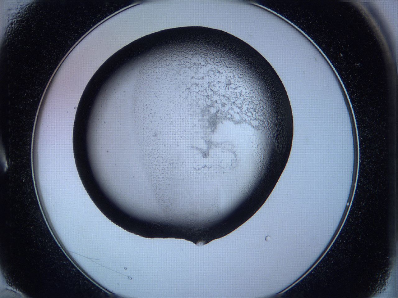 05w7_A10_ImagerDefaults_3.jpg