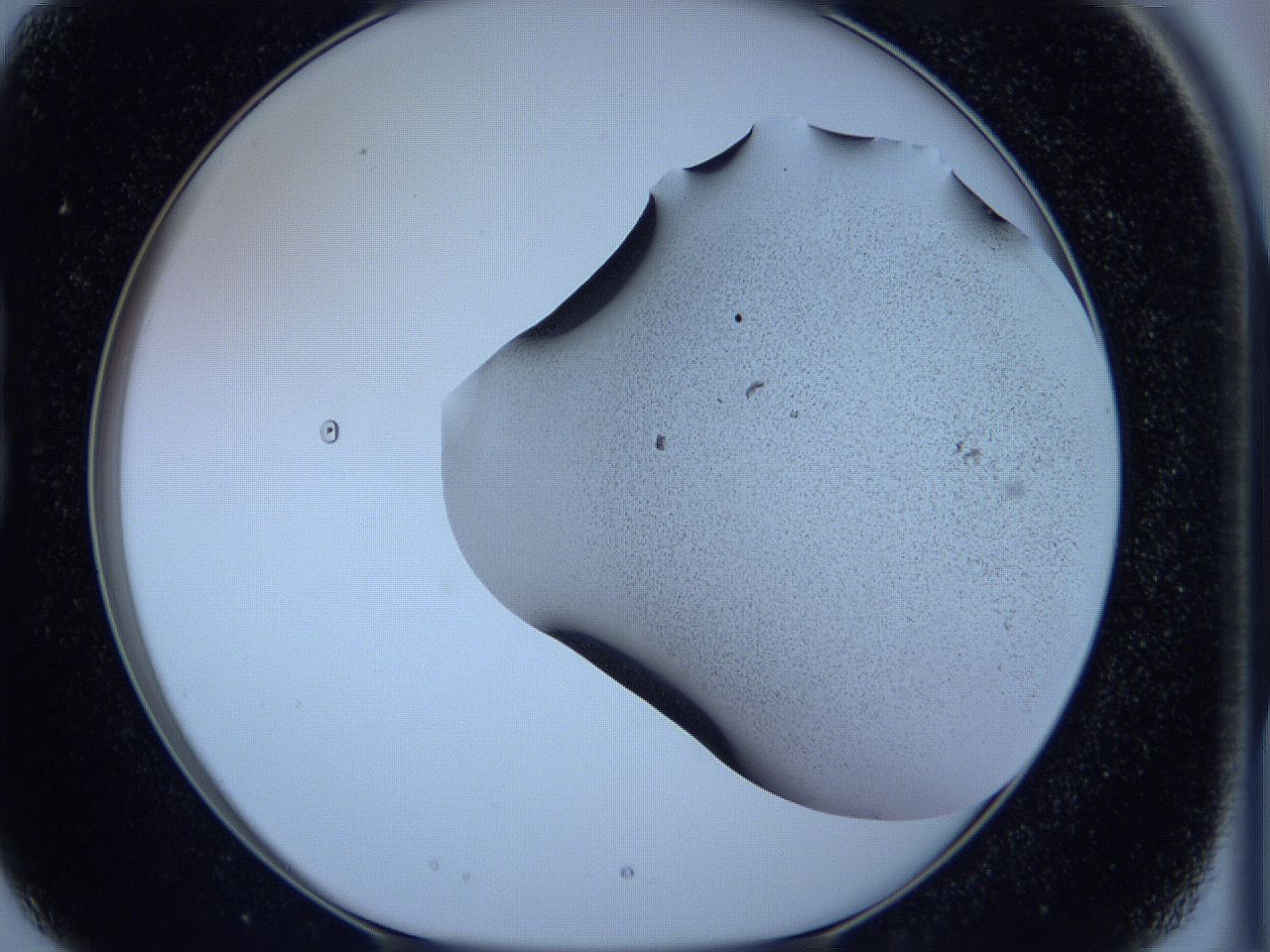 05w7_B3_ImagerDefaults_3.jpg
