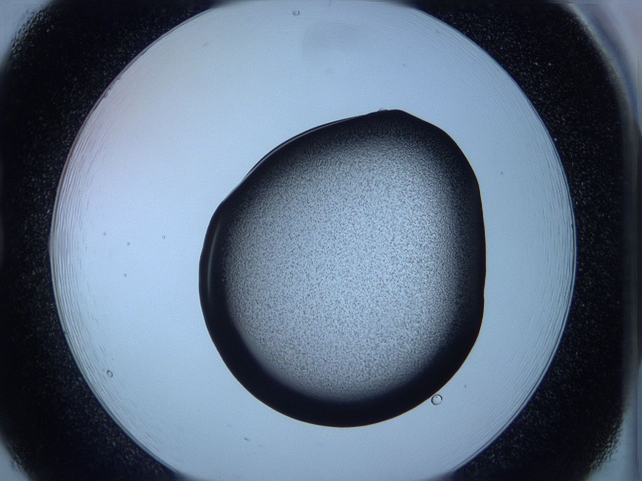 05w7_B8_ImagerDefaults_3.jpg