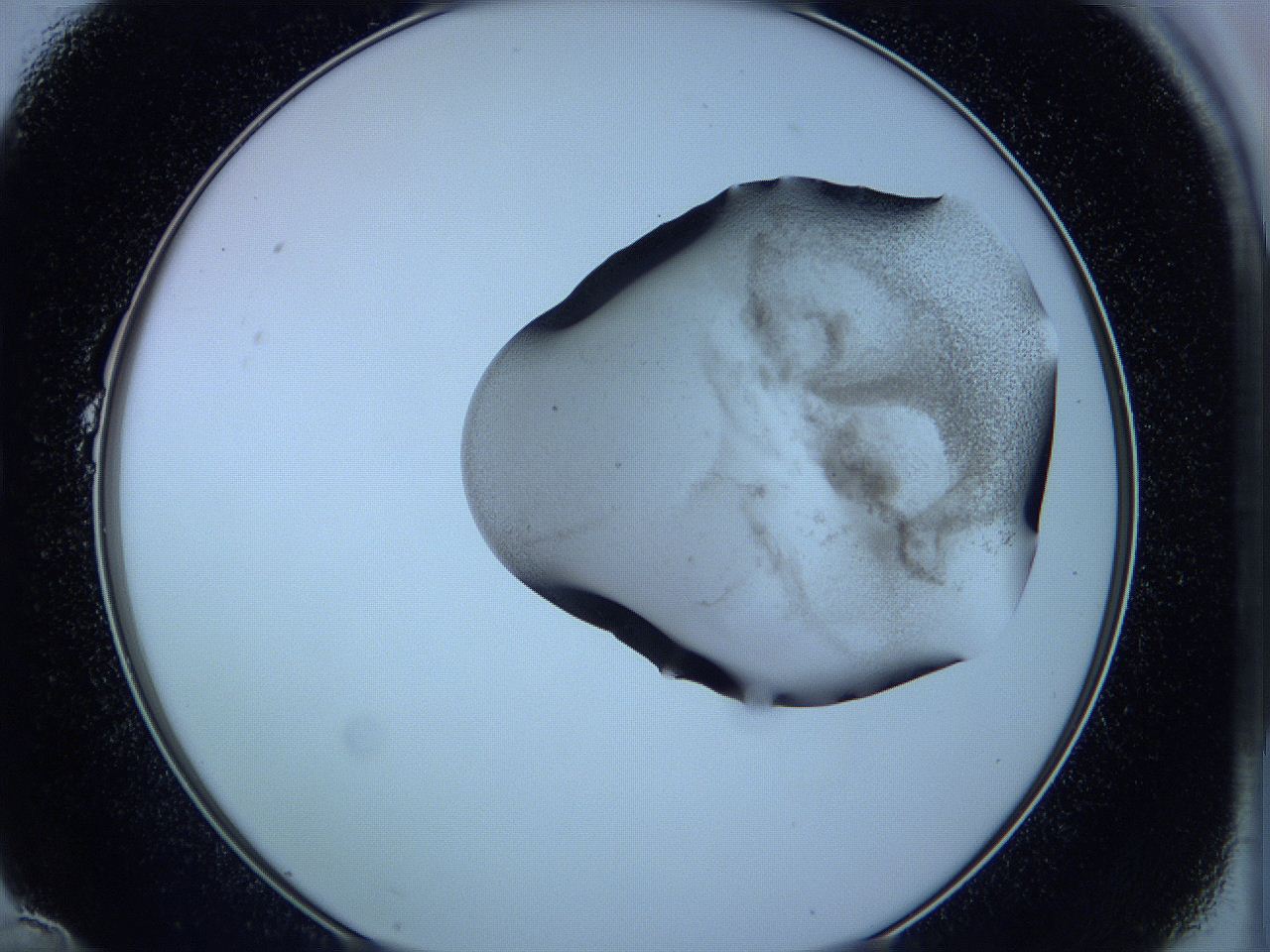 05w7_B10_ImagerDefaults_3.jpg