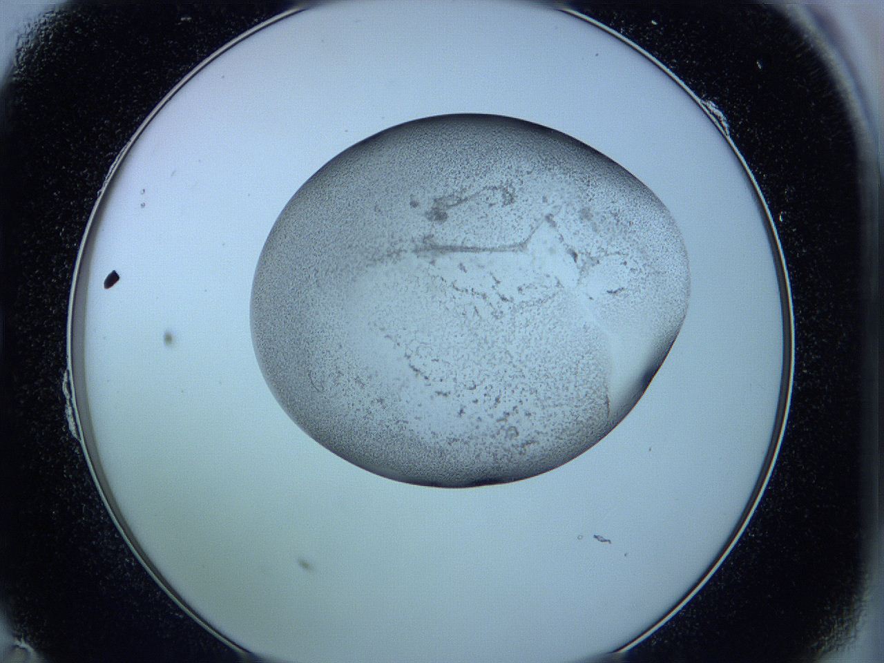 05w7_B11_ImagerDefaults_3.jpg