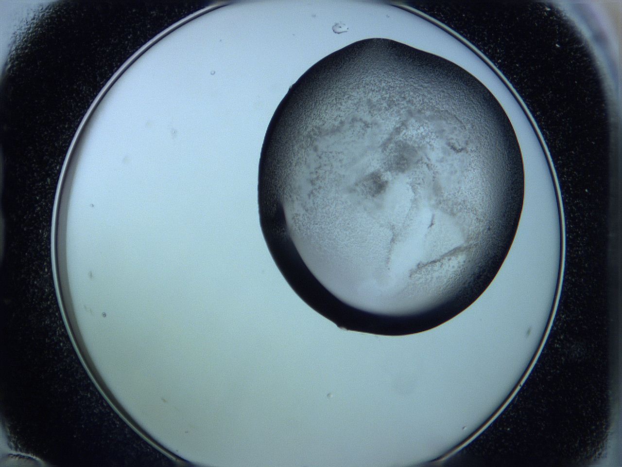 05w7_B12_ImagerDefaults_3.jpg