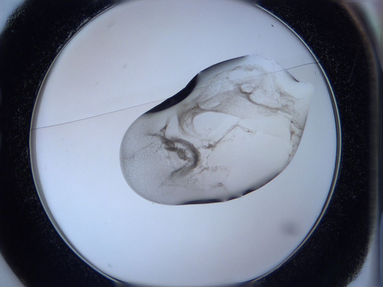 05w7_C1_ImagerDefaults_3.jpg