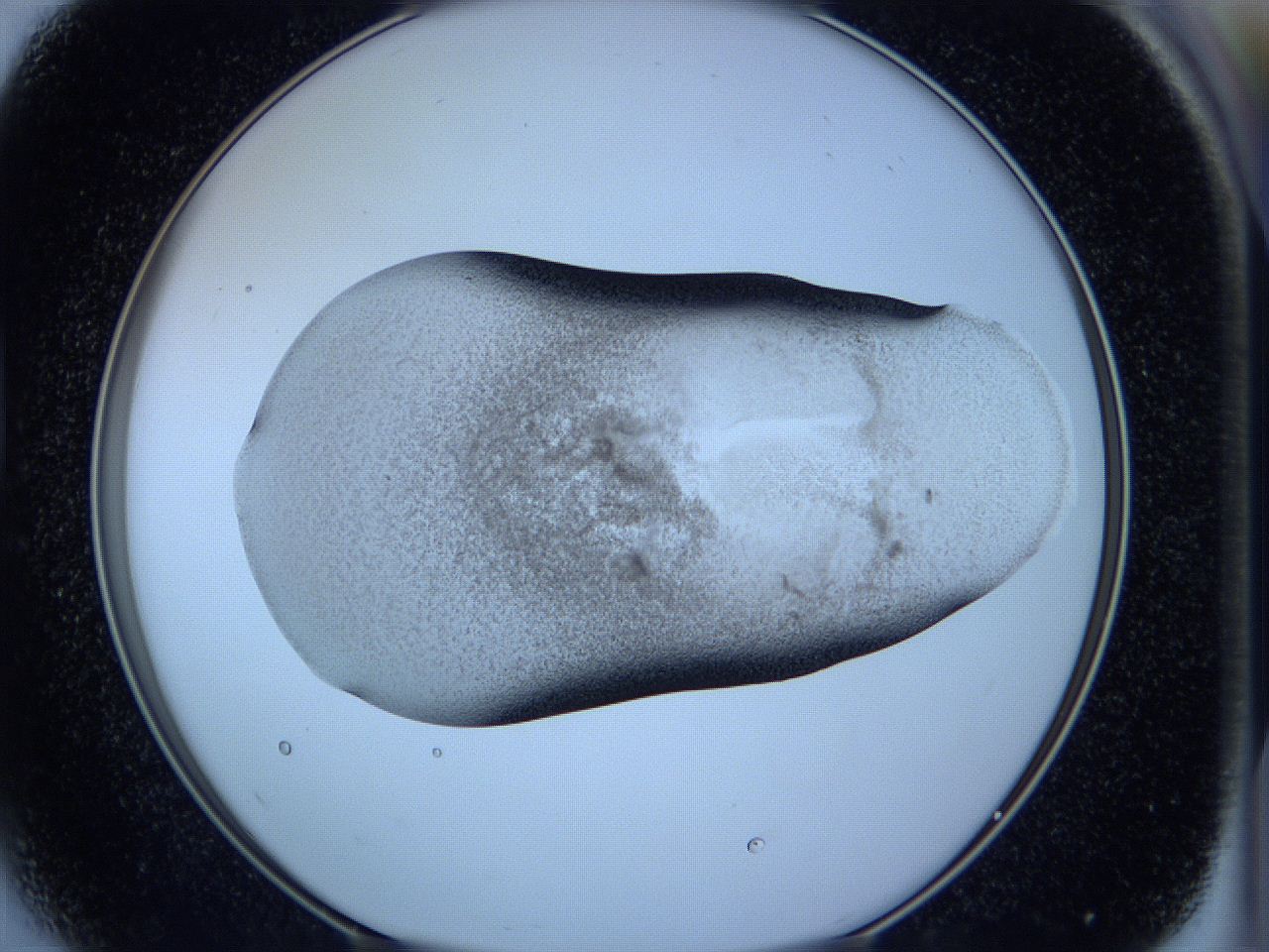 05w7_D5_ImagerDefaults_3.jpg