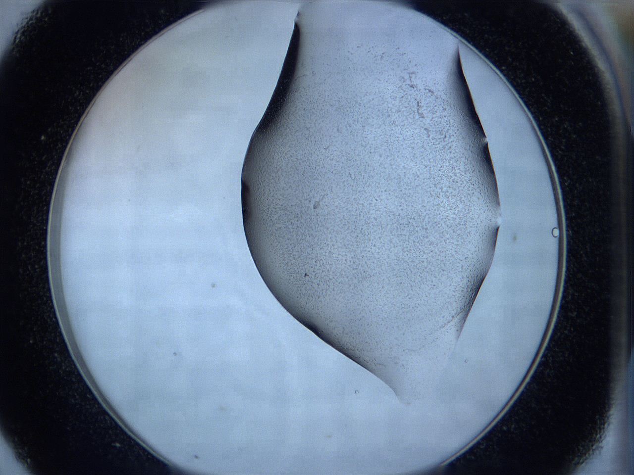 05w7_D7_ImagerDefaults_3.jpg