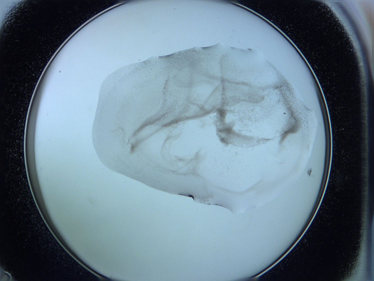 05w7_D11_ImagerDefaults_3.jpg