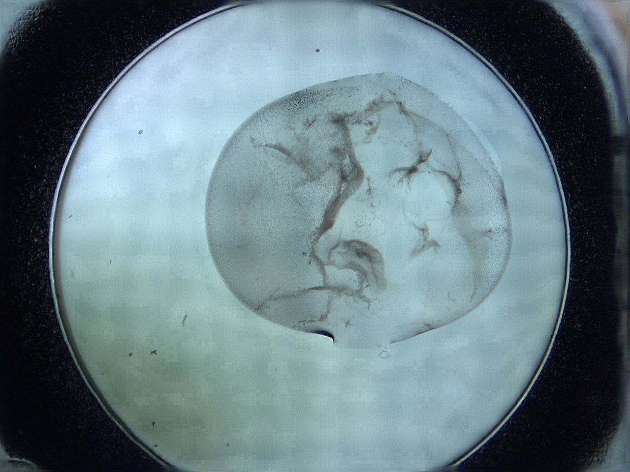 05w7_D12_ImagerDefaults_3.jpg