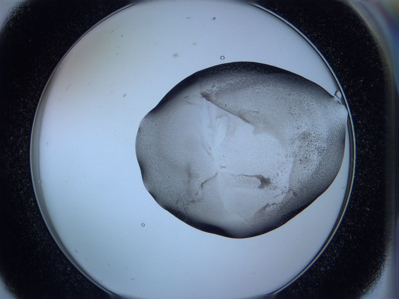 05w7_E8_ImagerDefaults_3.jpg