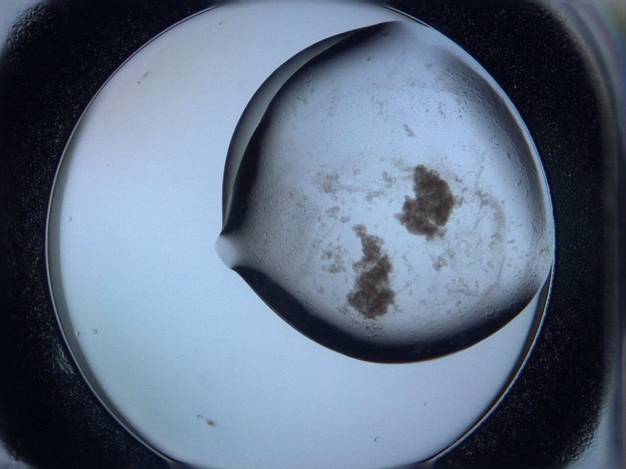 05w7_E10_ImagerDefaults_3.jpg