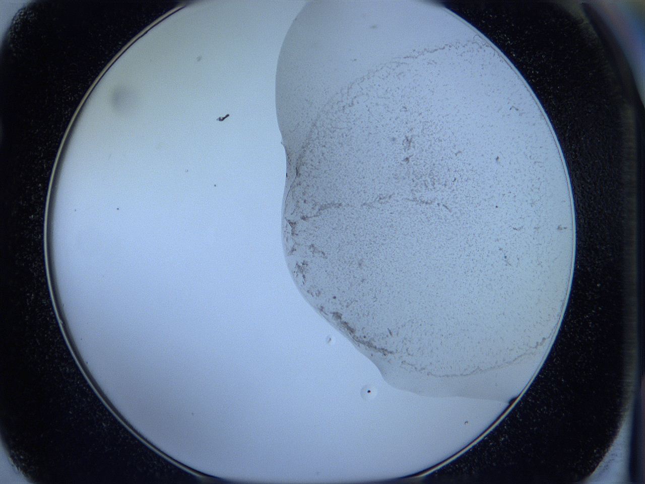 05w7_F2_ImagerDefaults_3.jpg