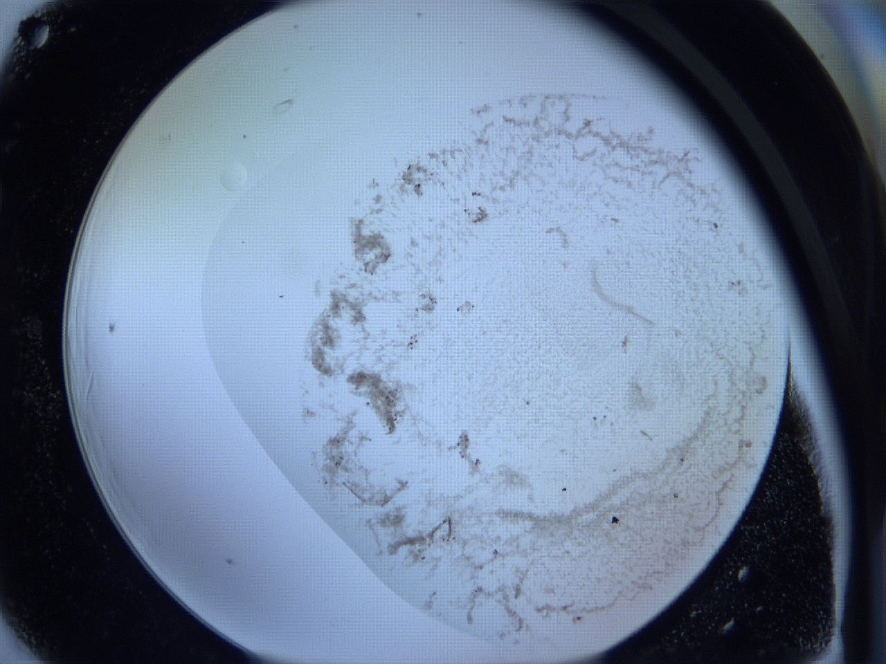 05w7_F6_ImagerDefaults_3.jpg