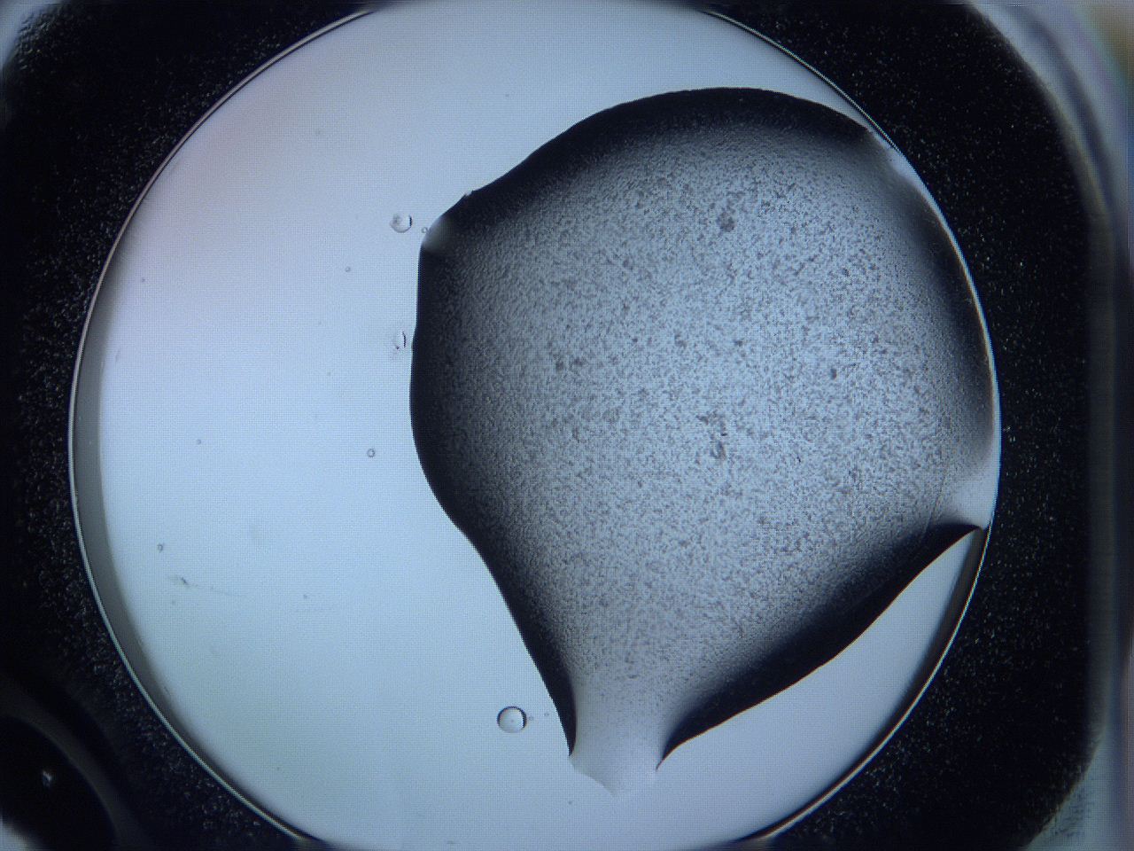 05w7_F11_ImagerDefaults_3.jpg