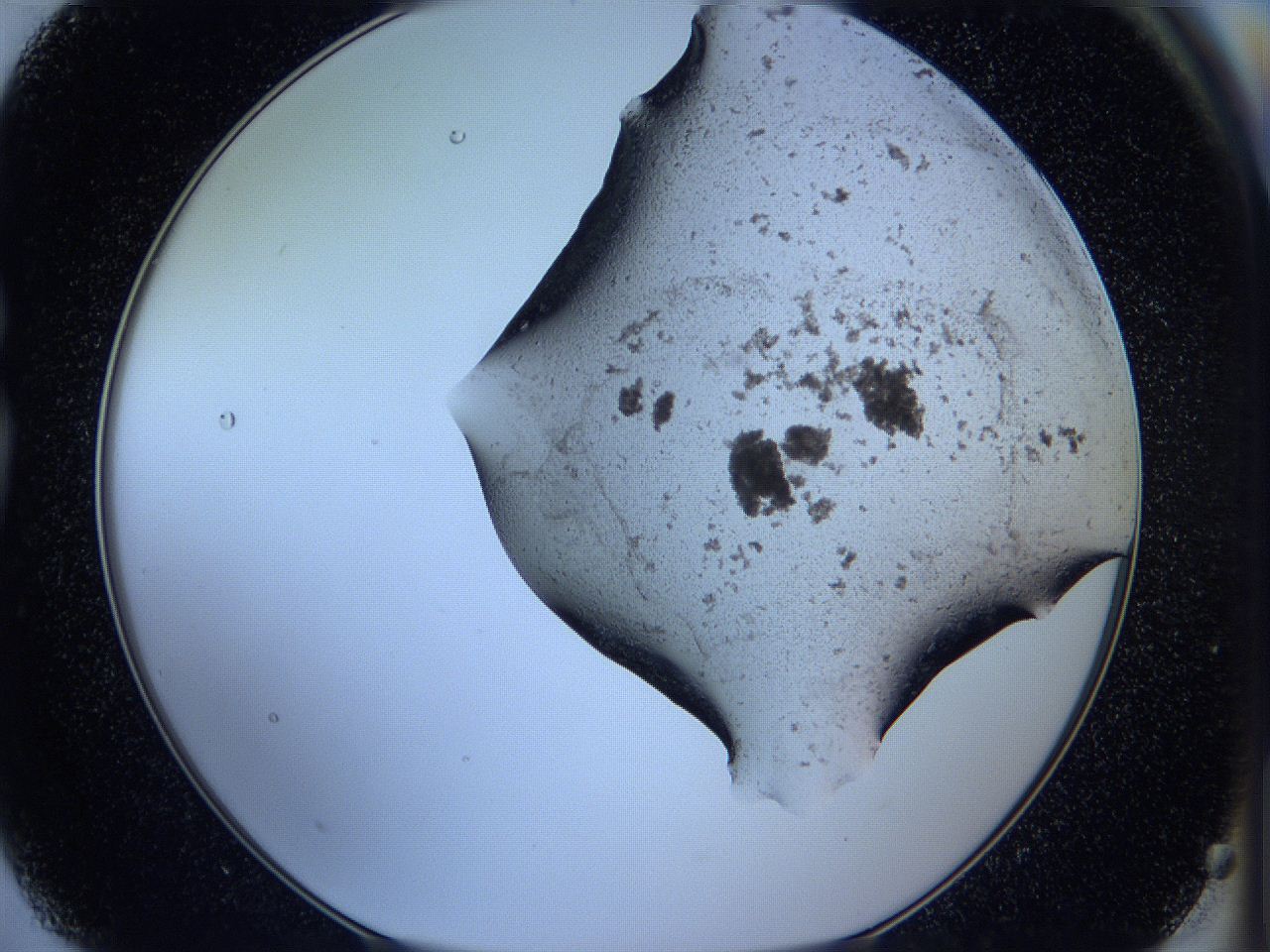 05w7_G3_ImagerDefaults_3.jpg