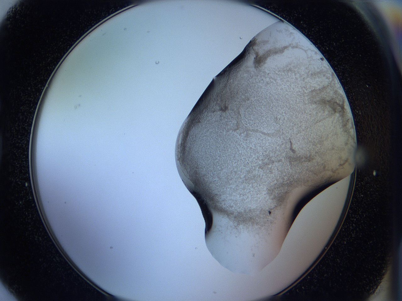 05w7_G6_ImagerDefaults_3.jpg