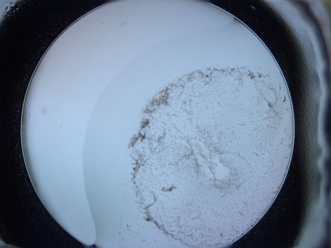 05w7_G12_ImagerDefaults_3.jpg